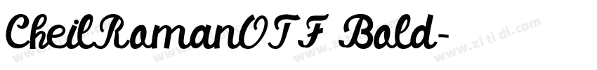 CheilRomanOTF Bold字体转换 CheilRomanOTF Bold字体转换